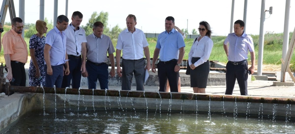 Как на Дону развивается производство рыбы