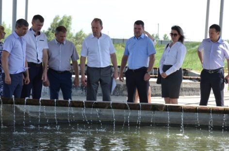 Как на Дону развивается производство рыбы