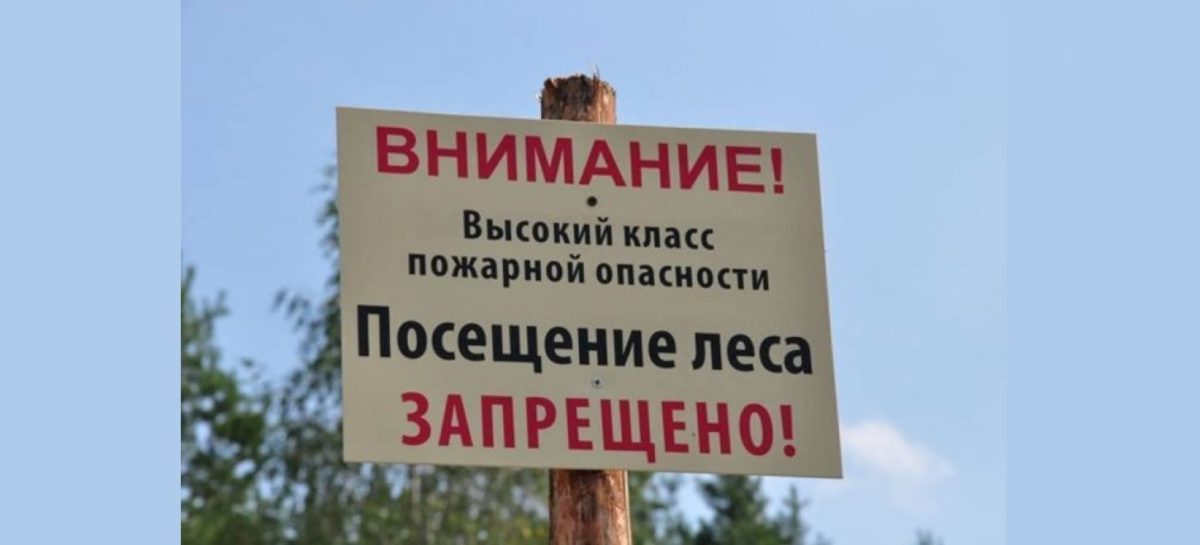 В Ростовской области введен режим ограничения пребывания граждан в лесах