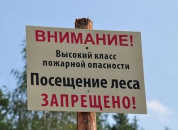 В Ростовской области введен режим ограничения пребывания граждан в лесах