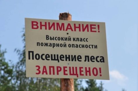 В Ростовской области введен режим ограничения пребывания граждан в лесах