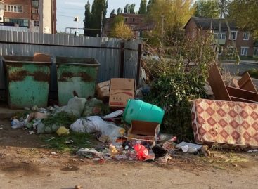 А из нашего окна только мусорка видна