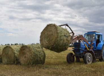 В сельхозпредприятии  «Русь» завершают кормозаготовительную кампанию