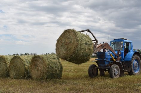 В сельхозпредприятии  «Русь» завершают кормозаготовительную кампанию