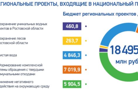 Донской регион реализует пять федеральных экологических проектов