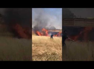 Межведомственная группа вступила в борьбу с огнём