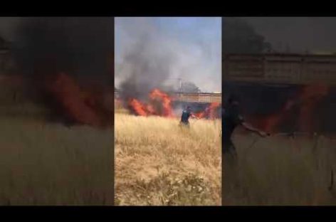 Межведомственная группа вступила в борьбу с огнём