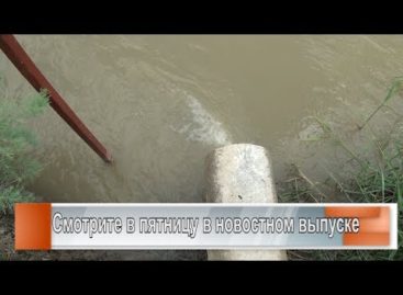 Сальский молзавод: очистка сточных вод