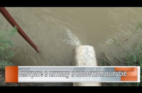 Сальский молзавод: очистка сточных вод