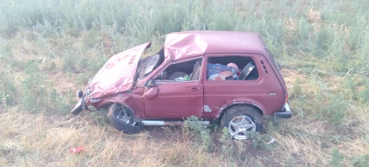 Недалеко от Сальска «четырнадцатая» въехала в «Ниву»