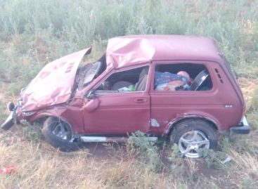 Недалеко от Сальска «четырнадцатая» въехала в «Ниву»
