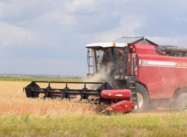 Аграрии Сальского района обмолотили свыше 97% площадей ранних зерновых