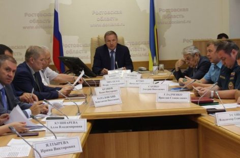 В муниципалитетах Дона появятся дополнительные пляжи и места отдыха у воды