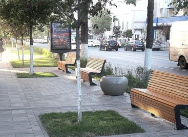 Шесть донских проектов вошли в федеральный реестр лучших примеров благоустройства территорий