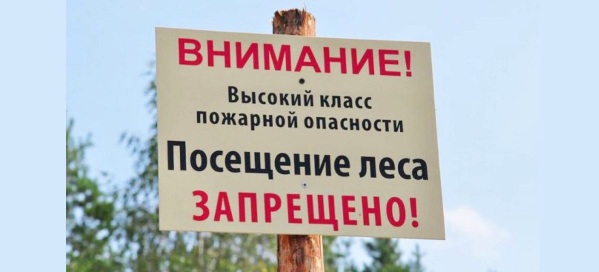 В Ростовской области продлен режим ограничения пребывания граждан в лесах