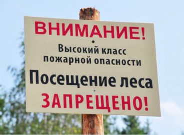 В Ростовской области продлен режим ограничения пребывания граждан в лесах