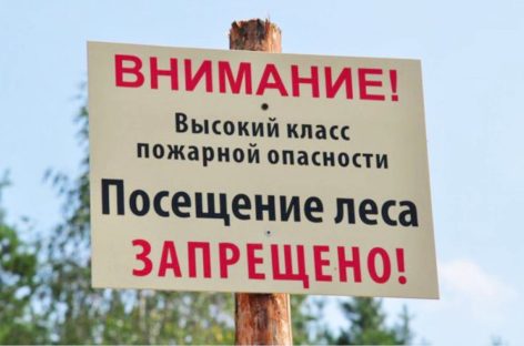 В Ростовской области продлен режим ограничения пребывания граждан в лесах