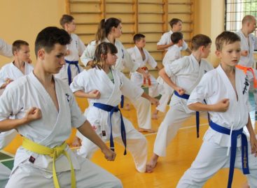 Сальские спортсмены учились каратэ киокусинкай у известного мастера