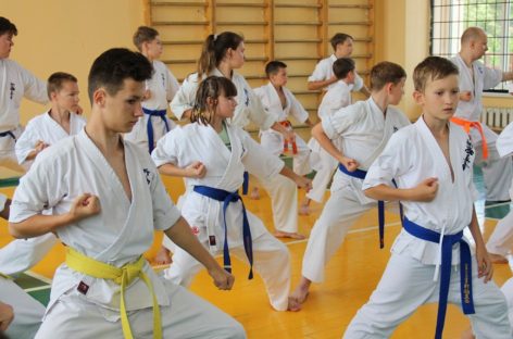Сальские спортсмены учились каратэ киокусинкай у известного мастера