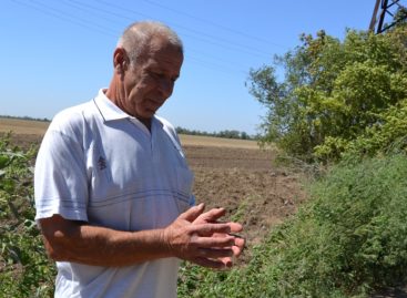 На дачах хутора Бровки нашли боевую гранату Ф-1