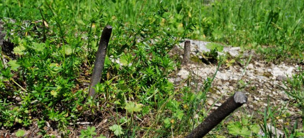 Сальчанин в огороде напоролся на арматуру