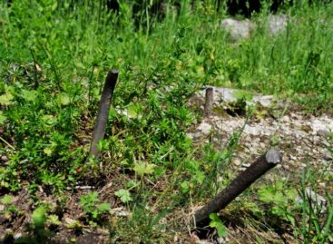 Сальчанин в огороде напоролся на арматуру