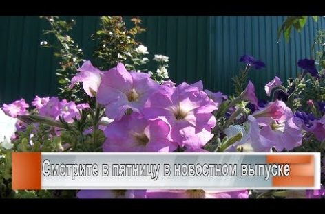 Конкурс «Я люблю этот город»