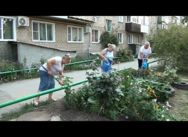 Двор пятиэтажки по Шаумяна, 1, претендует на звание лучшего в городском конкурсе