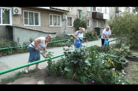 Двор пятиэтажки по Шаумяна, 1, претендует на звание лучшего в городском конкурсе
