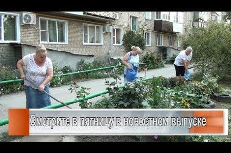 «Я люблю этот город»