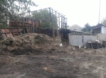 В Сальском районе от детской шалости с огнём загорелся сенник и погиб бычок