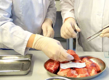 Ветеринары предупреждают сальчан и жителей района: мясо и молоко должны быть проверены!