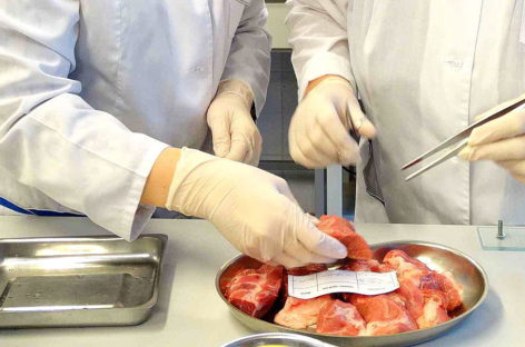 Ветеринары предупреждают сальчан и жителей района: мясо и молоко должны быть проверены!
