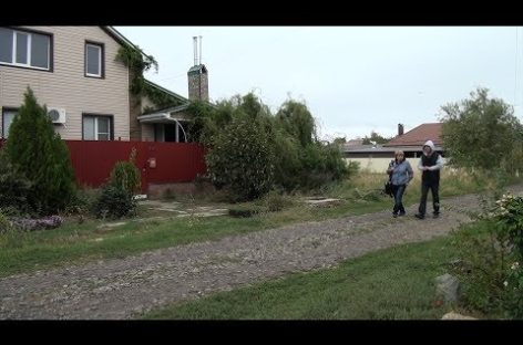 «Я люблю этот город»: жители улицы Коминтерна навели красоту и чистоту у дворов
