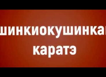Сальские каратисты клуба «Катана» побывали в гостях у «Донских Соколов»