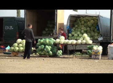 Овощной рынок переехал: первые впечатления сальчан