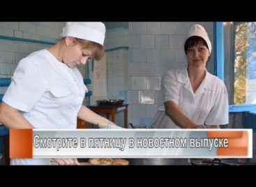 Кулинары «Звёздочки»