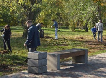 Более 60 тысяч человек приняли участие в областном субботнике