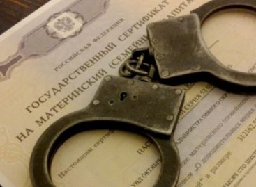Бизнес — на материнский капитал: в Сальске осудили директора кредитных кооперативов