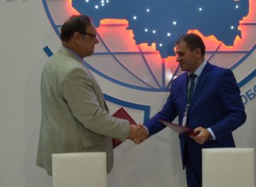 На Дону внедрят региональную стратегию развития мясного скотоводства
