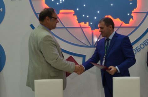 На Дону внедрят региональную стратегию развития мясного скотоводства