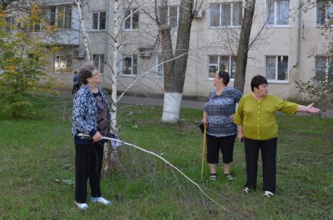 Кто должен спиливать сухие деревья и убирать на частной территории?