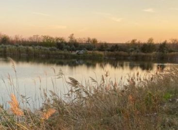 Недалеко от Ивановки в воду упала «Лада-Гранта»: пожилой водитель погиб на месте аварии