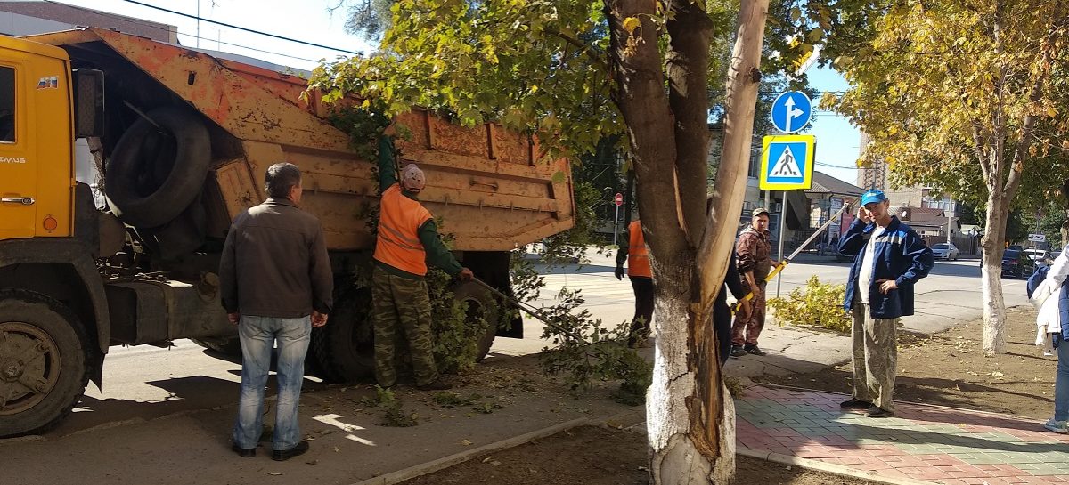 Чтобы ветки не мешали: город приводит себя в порядок к зиме