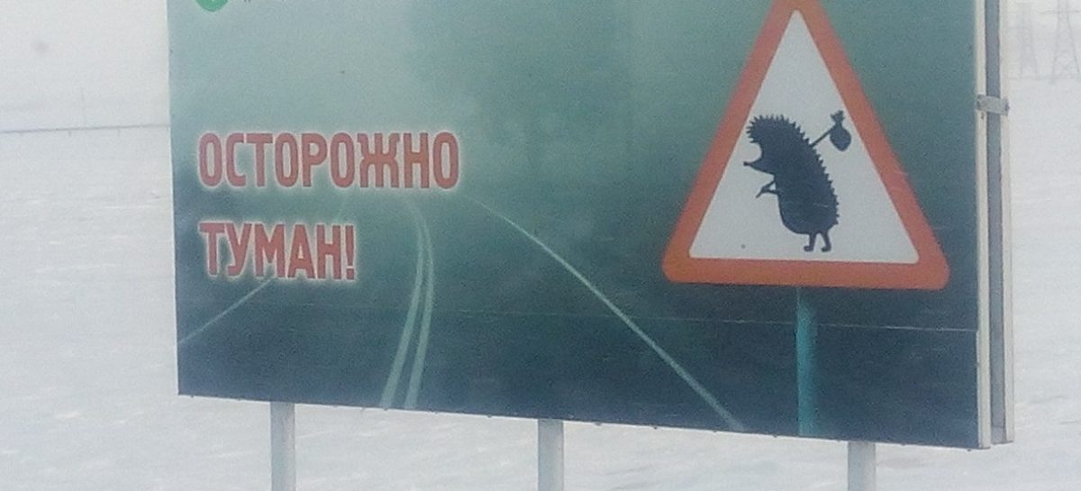 Жители Сальска и Сальского района, будьте особенно осторожны в туман, гололёд и снегопад!
