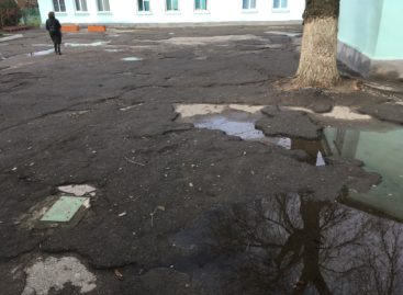 Сделаем вместе! В Сальске благоустроят двор школы № 10