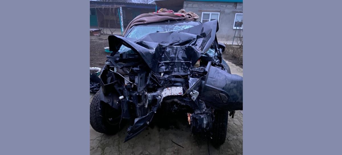 Под Ивановкой «Лада Веста» в ночи врезалась в дерево