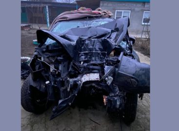 Под Ивановкой «Лада Веста» в ночи врезалась в дерево
