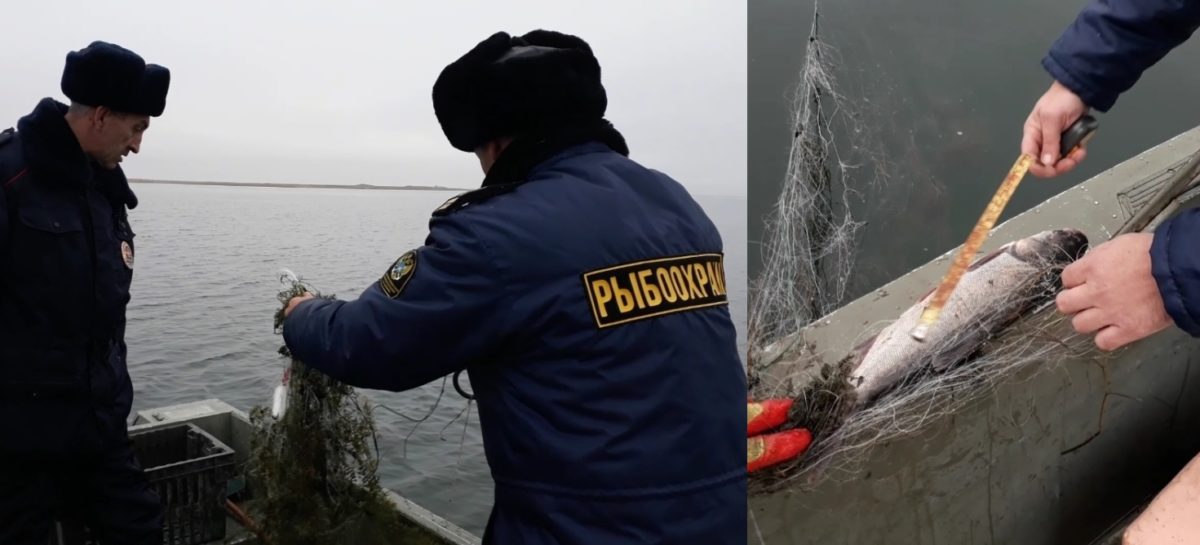 В Сальском районе сотрудники рыбоохраны провели очередной рейд