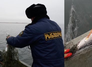 В Сальском районе сотрудники рыбоохраны провели очередной рейд